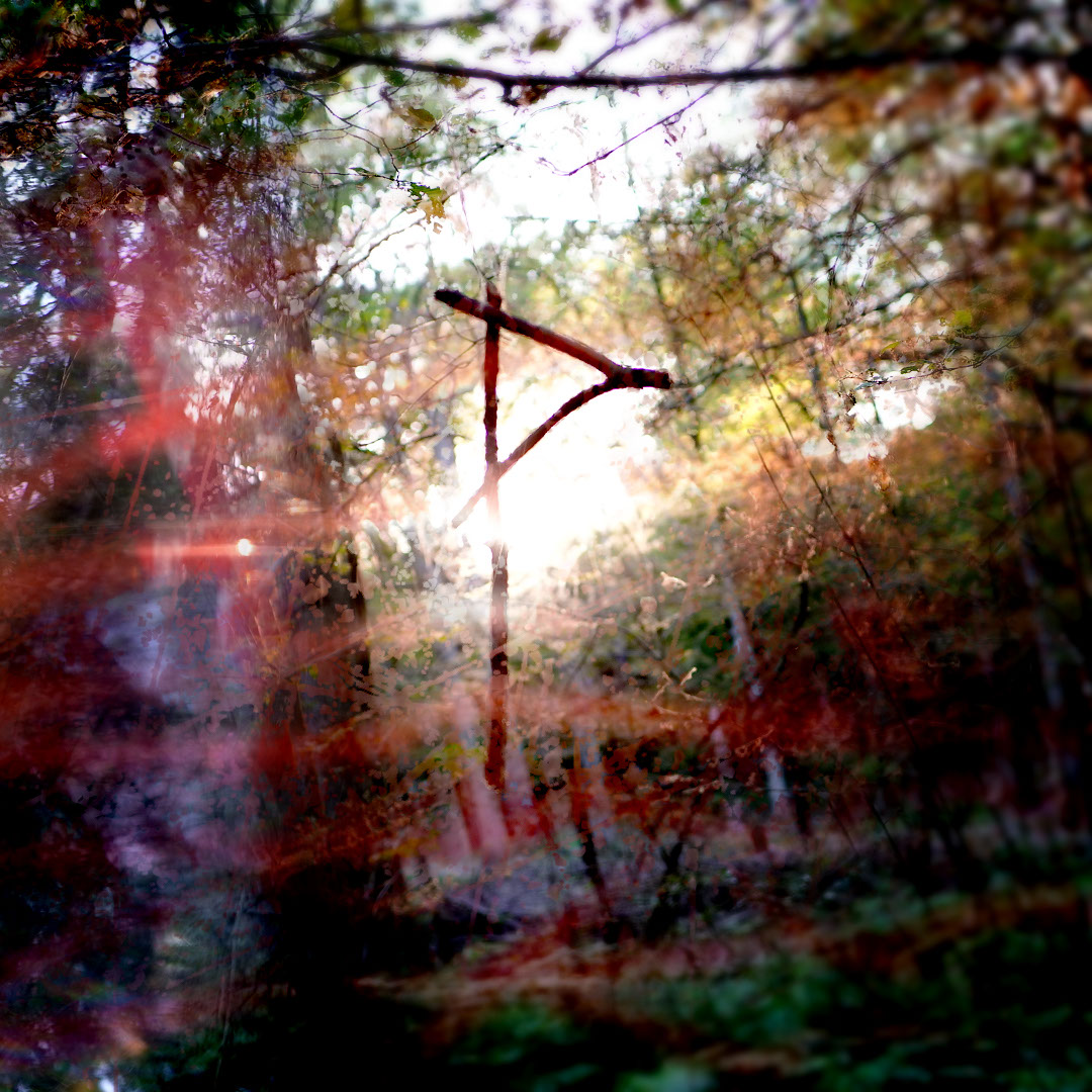 witch, witchcraft, vvitch, horror, folk horror, devil, folklore, witch hunt, spell, hex, spirit, demon, curse, folk, fable, England, indie, film